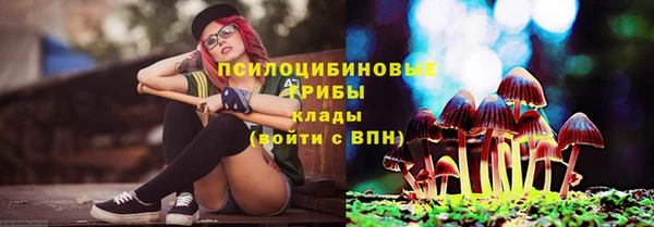 ешки Аркадак