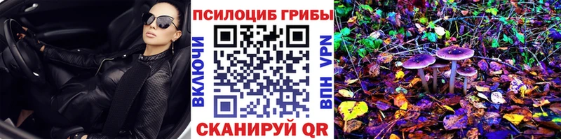 Псилоцибиновые грибы Psilocybine cubensis  где можно купить наркотик  Вольск 