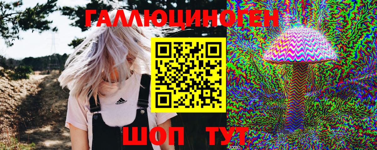 Галлюциногенные грибы Psilocybine cubensis Вольск