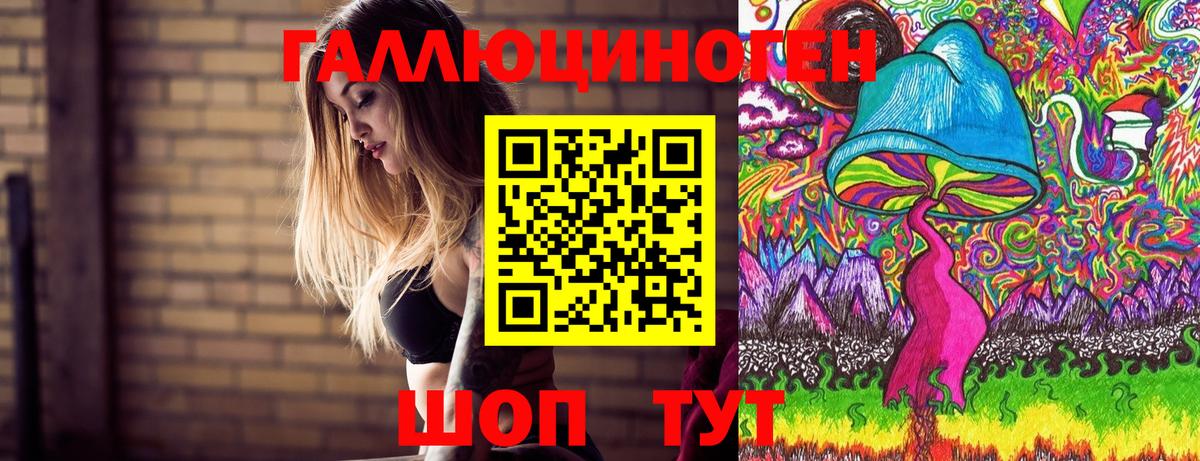 купить закладку  Вход с VPN  Вольск  Псилоцибиновые грибы прущие грибы 