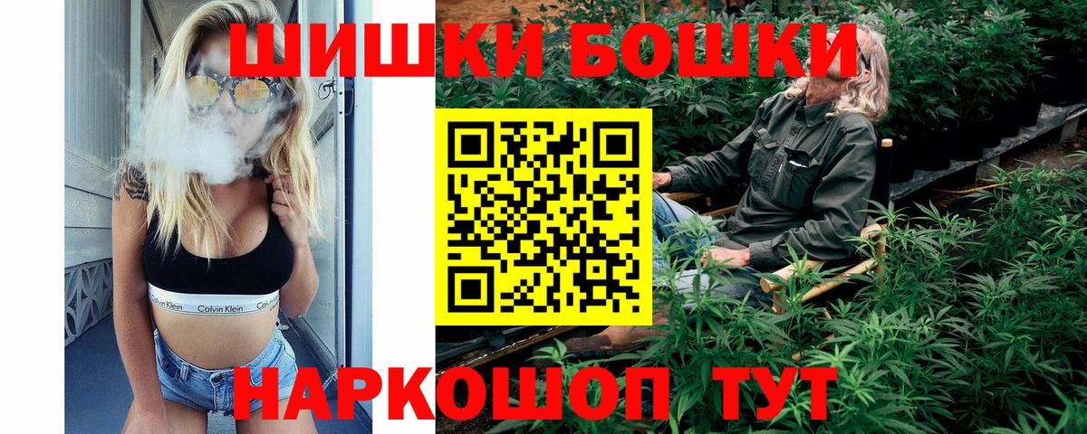 Марихуана планчик  Марихуана сатива  Вольск  Вход с VPN 